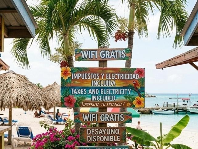 Photo of Others in Bavaro