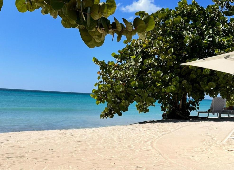 Photo of Others in Dominicus