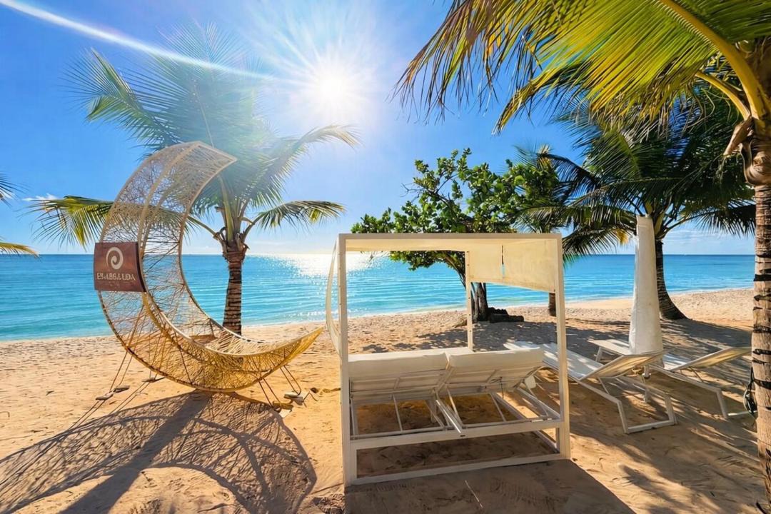Photo of Others in Dominicus