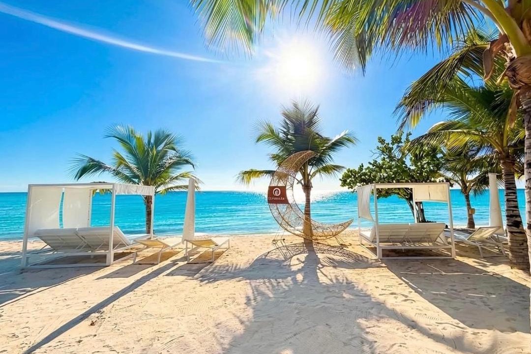 Photo of Others in Dominicus