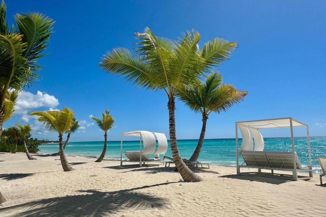Photo of Others in Dominicus