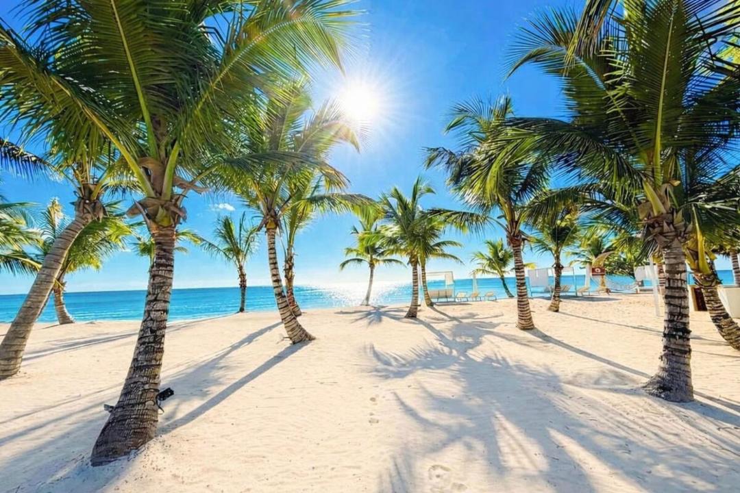 Photo of Others in Dominicus