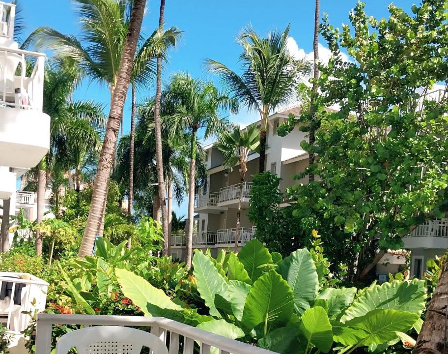 Photo of Others in Bavaro
