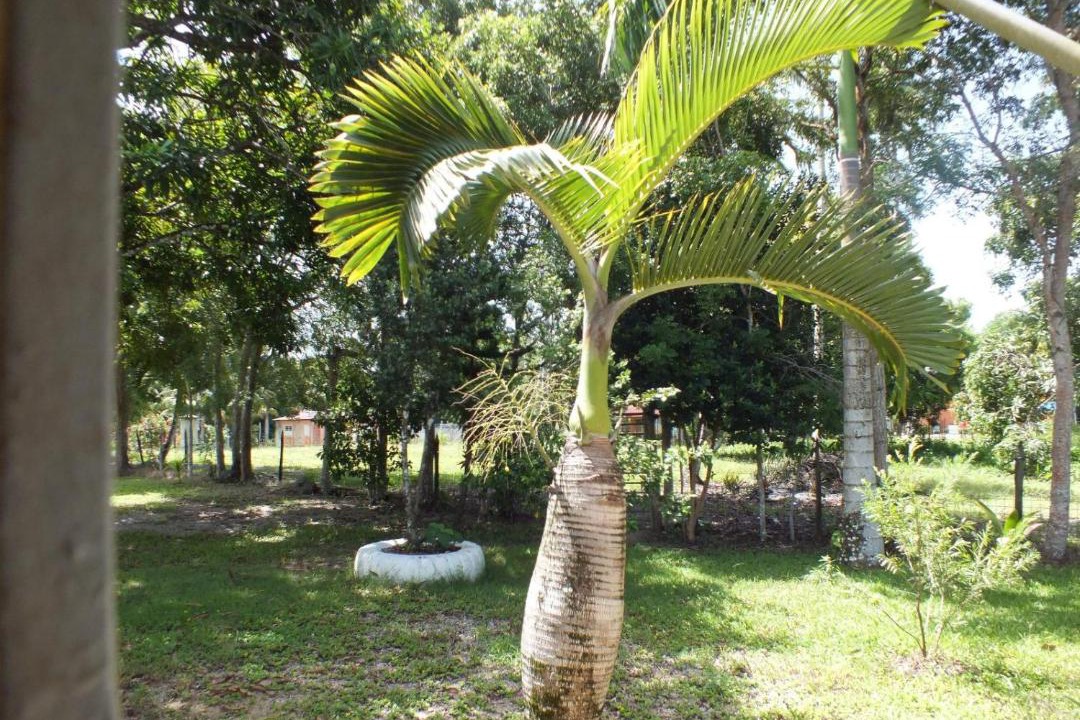 Photo of Others in Nagua