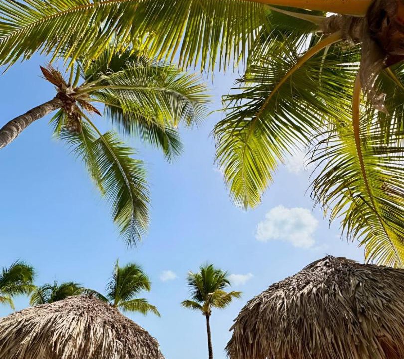 Photo of Others in Bavaro