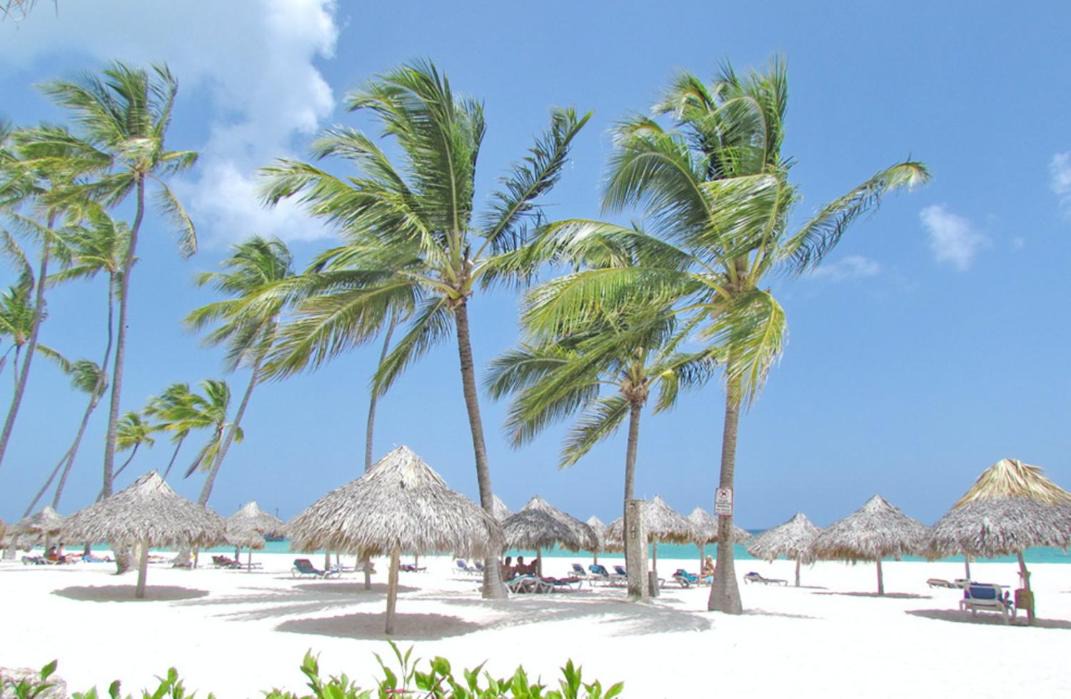 Photo of Others in Bavaro