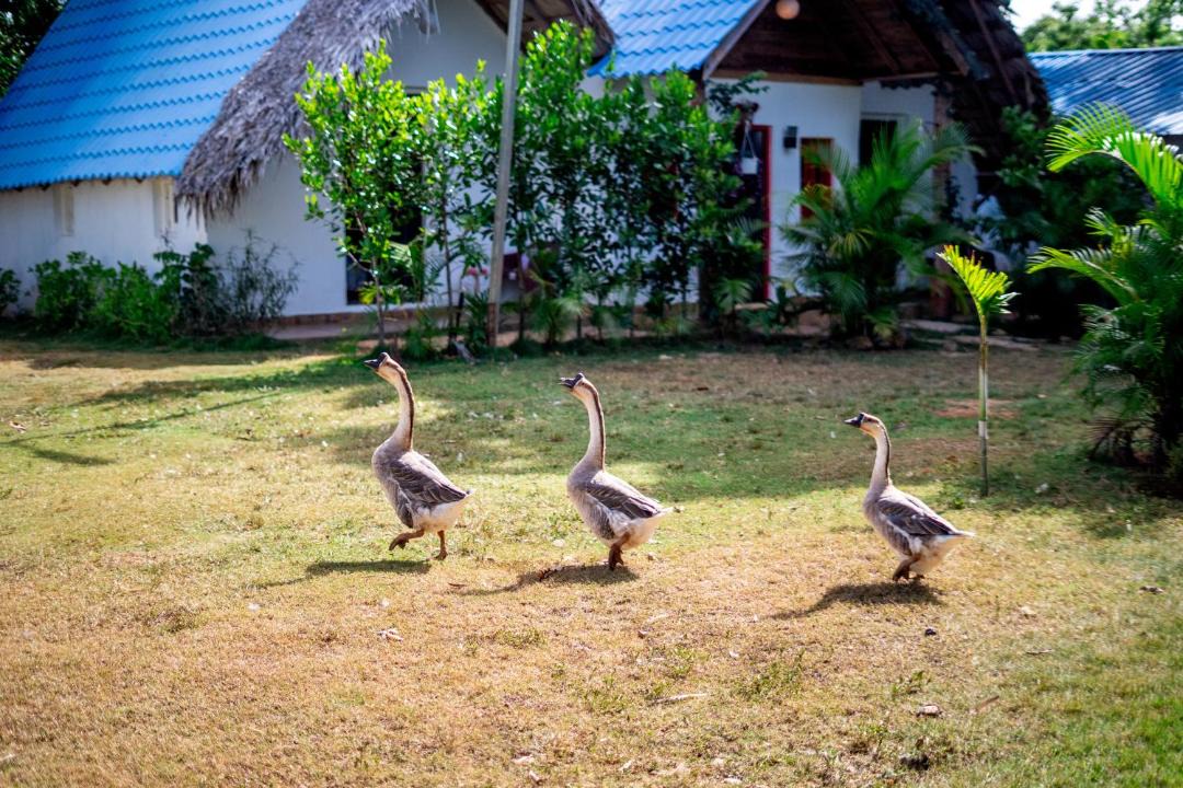 Photo of Others in Las Galeras