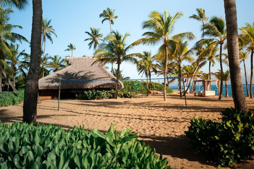 Photo of Others in Punta Cana