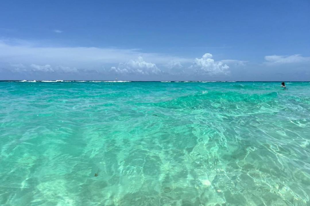 Photo of Others in Bavaro