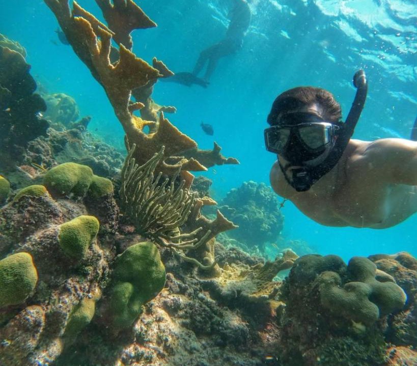 Photo of Others in Bavaro
