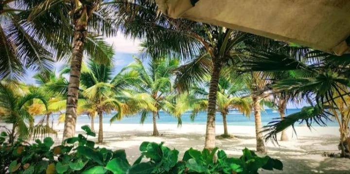 Photo of Others in Villas Del Mar