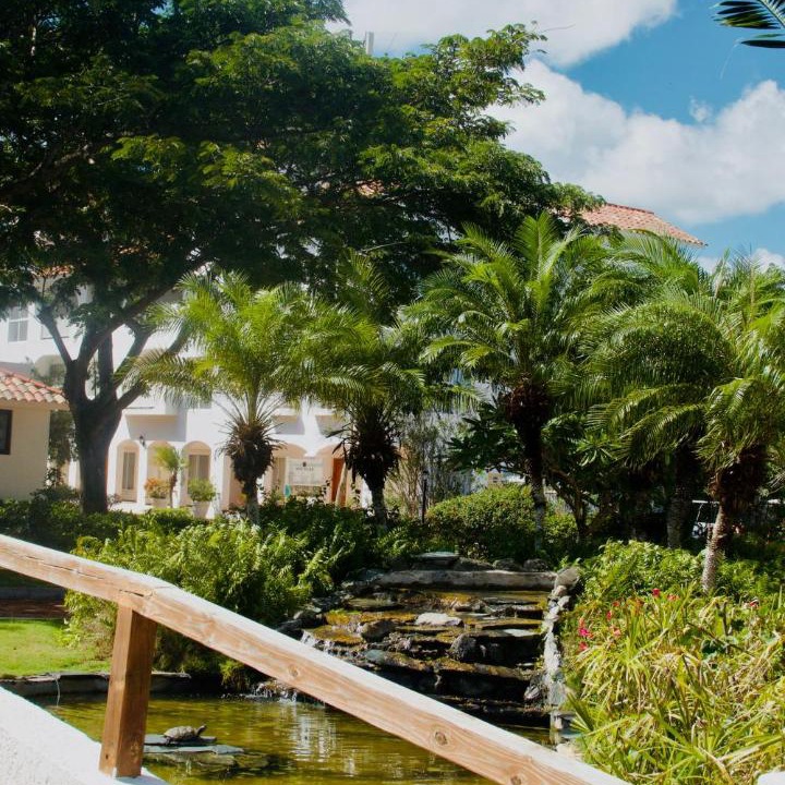Photo of Others in Dominicus