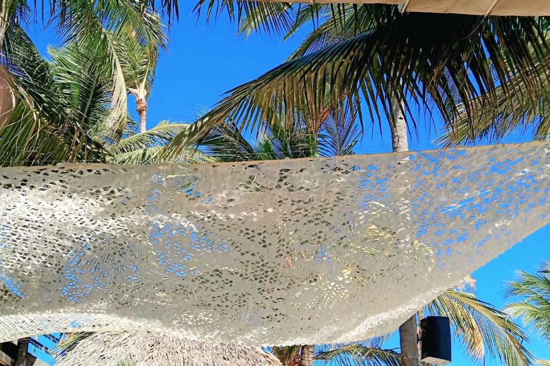 Photo of Others in Bavaro