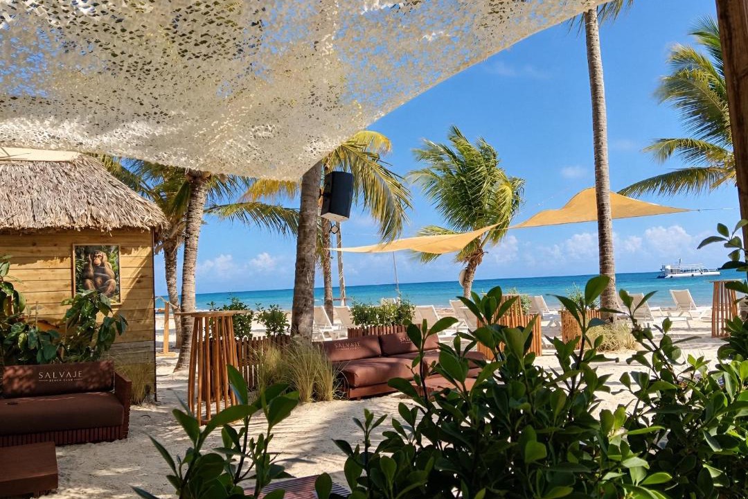 Photo of Others in Bavaro
