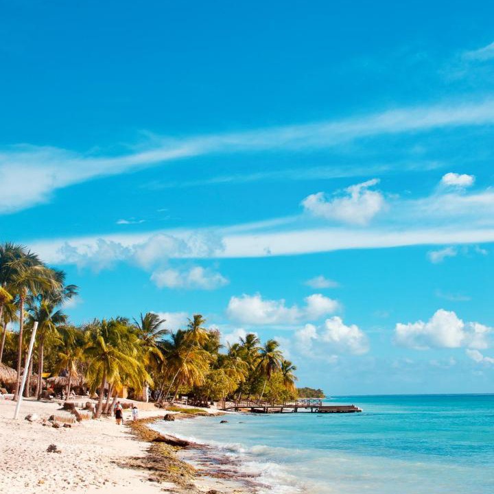 Photo of Others in Dominicus