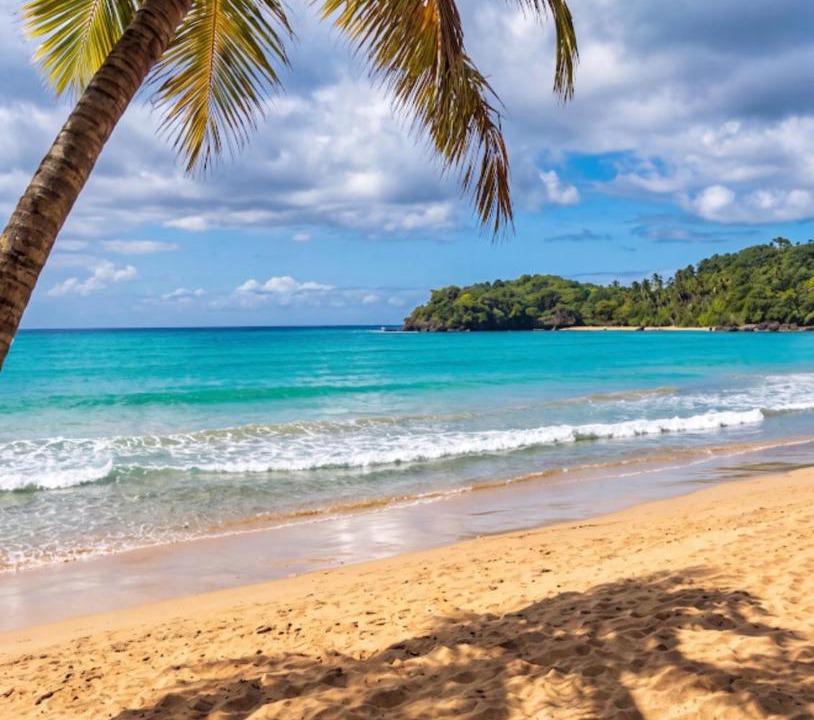 Photo of Others in Las Terrenas