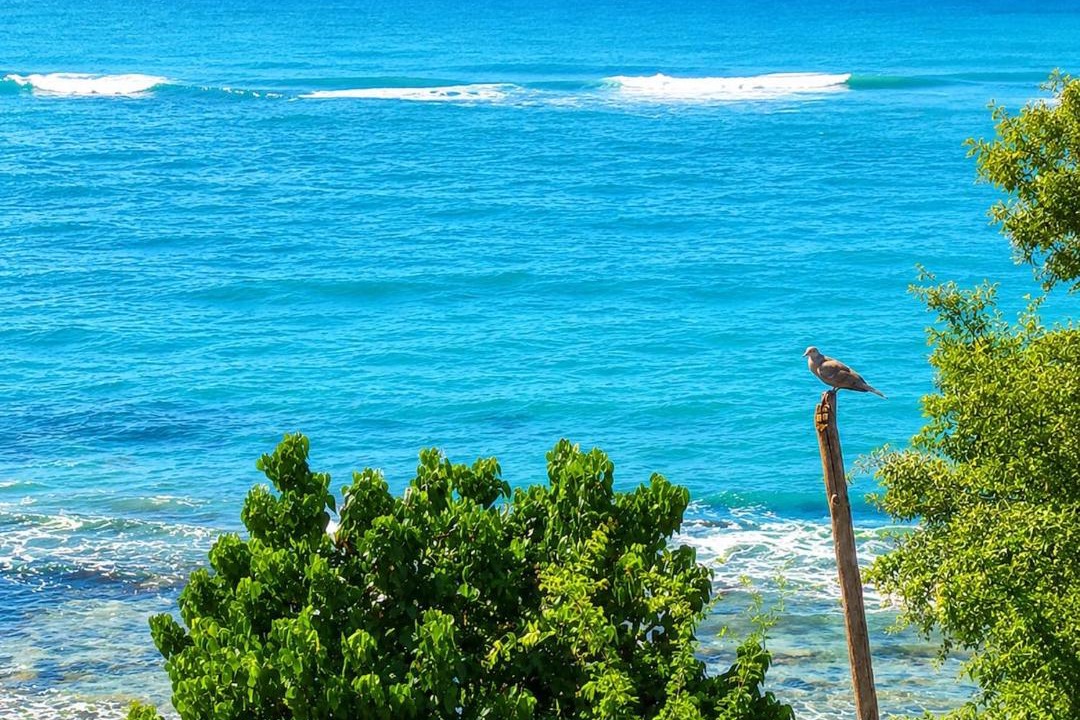 Photo of Others in San Pedro de Macoris