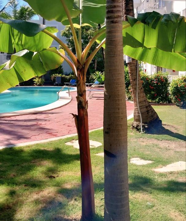 Photo of Others in Bavaro