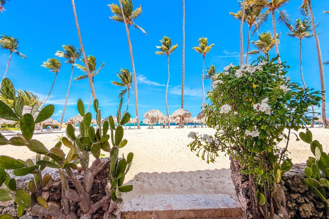 Photo of Others in Bavaro
