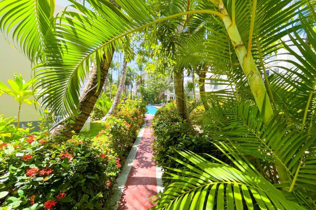 Photo of Others in Bavaro