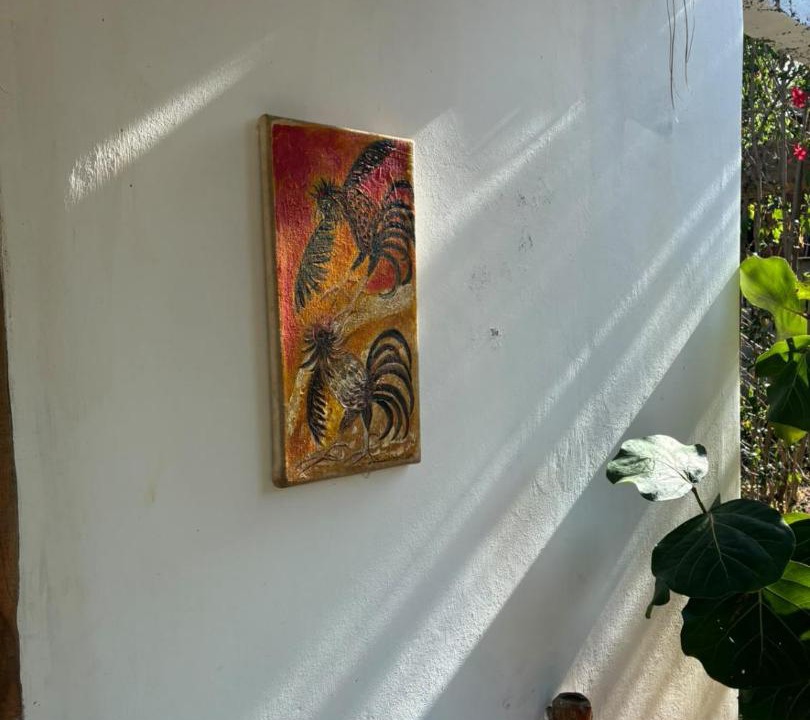 Photo of Others in Las Galeras