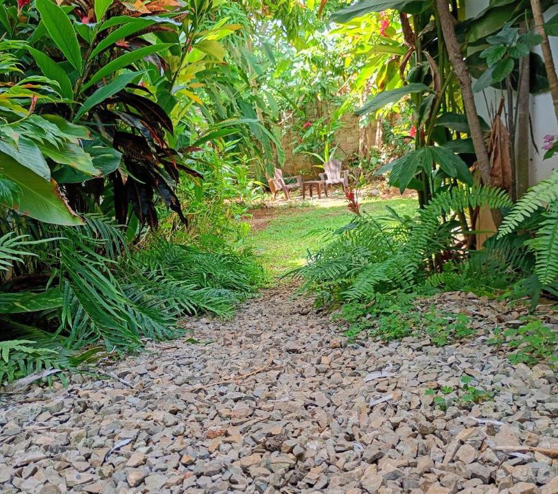 Photo of Others in Las Galeras