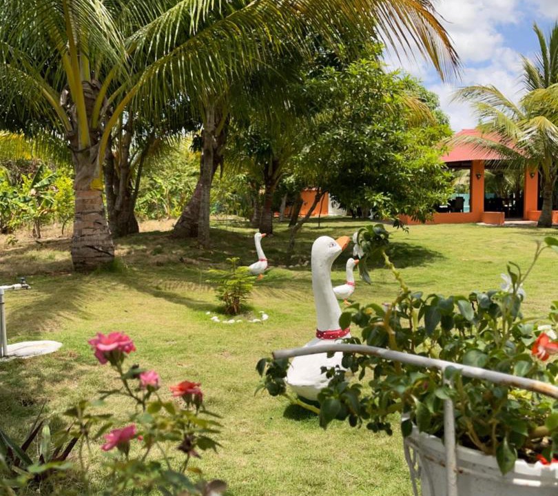 Photo of Others in Higuey