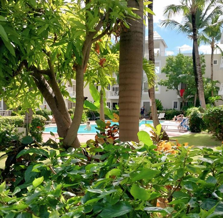 Photo of Others in Bavaro