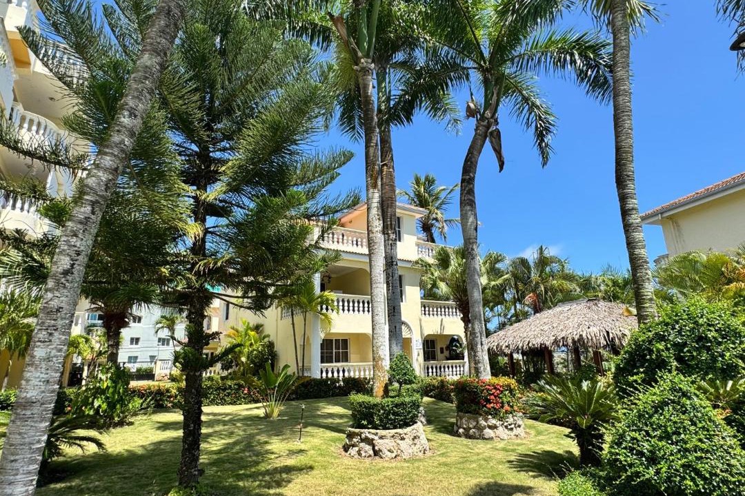 Photo of Others in Boca Chica
