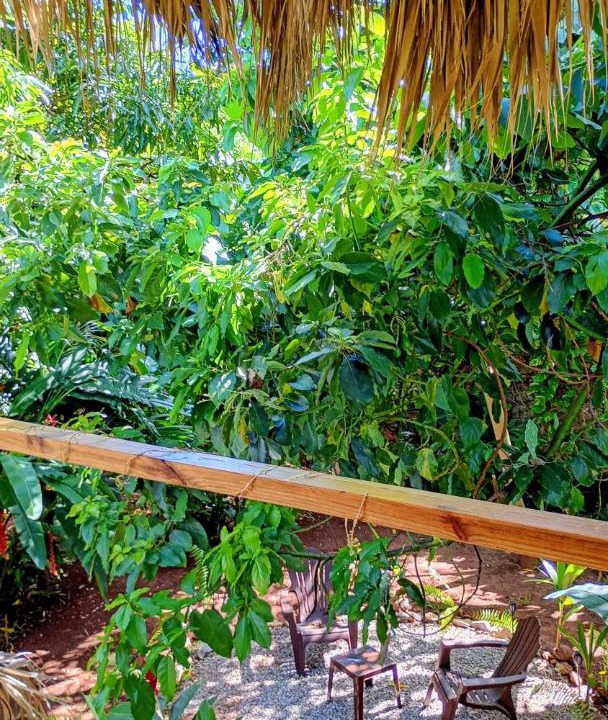 Photo of Others in Las Galeras