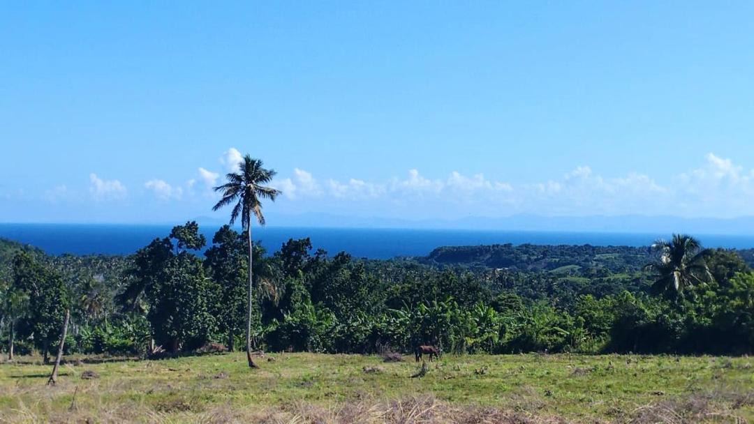 Photo of Others in Las Galeras