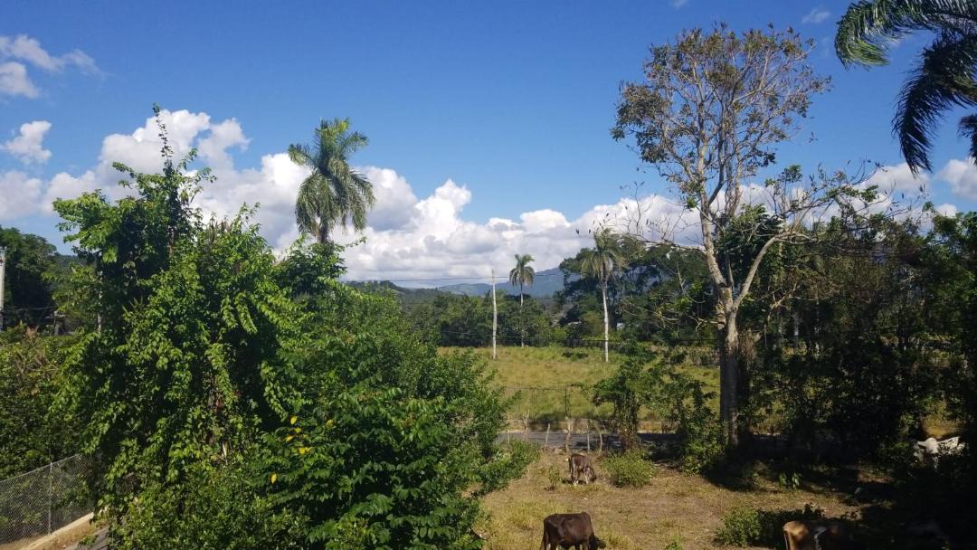 Photo of Others in Jarabacoa