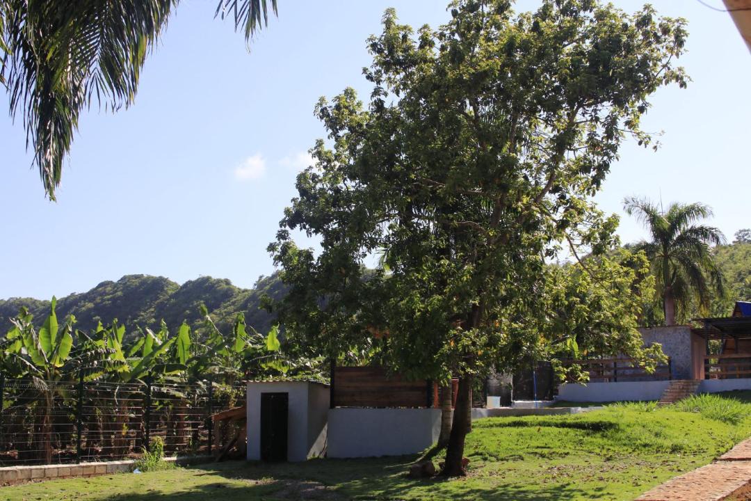 Photo of Others in Las Galeras