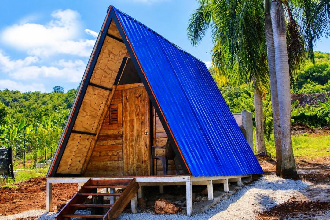 Photo of Others in Las Galeras