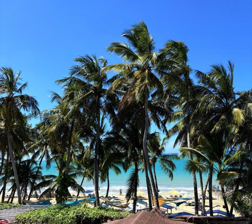 Photo of Others in Cabarete