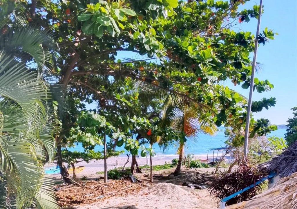 Photo of Others in La Cienaga