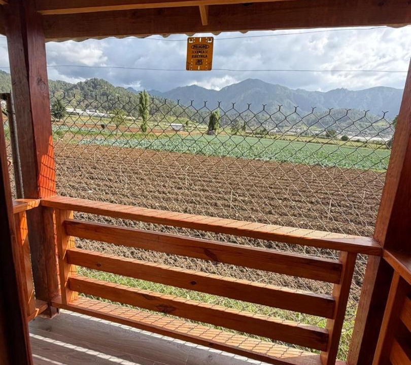 Photo of Others in Constanza