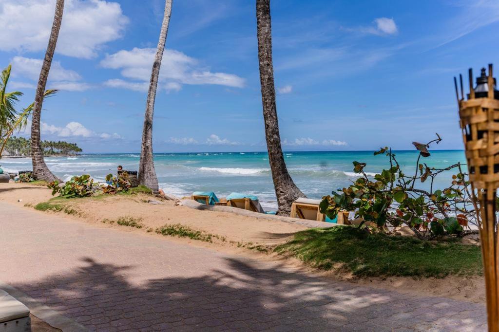 Photo of Others in Las Terrenas