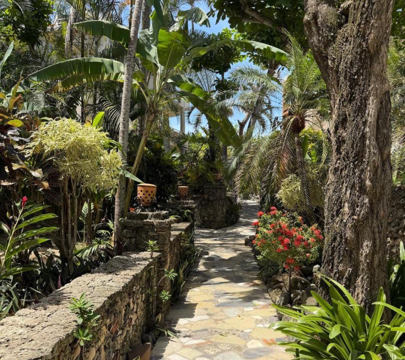 Photo of Others in Cabarete