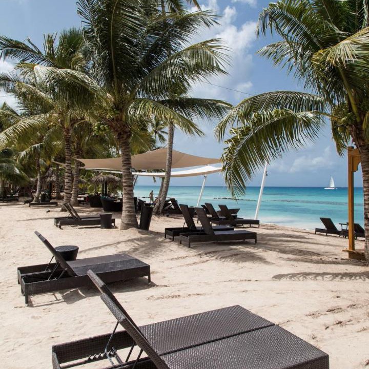 Photo of Others in Dominicus
