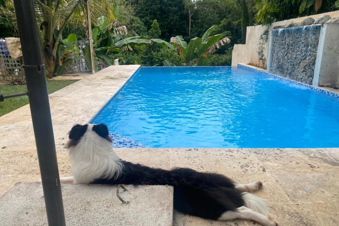 Photo of Others in Villa Altagracia