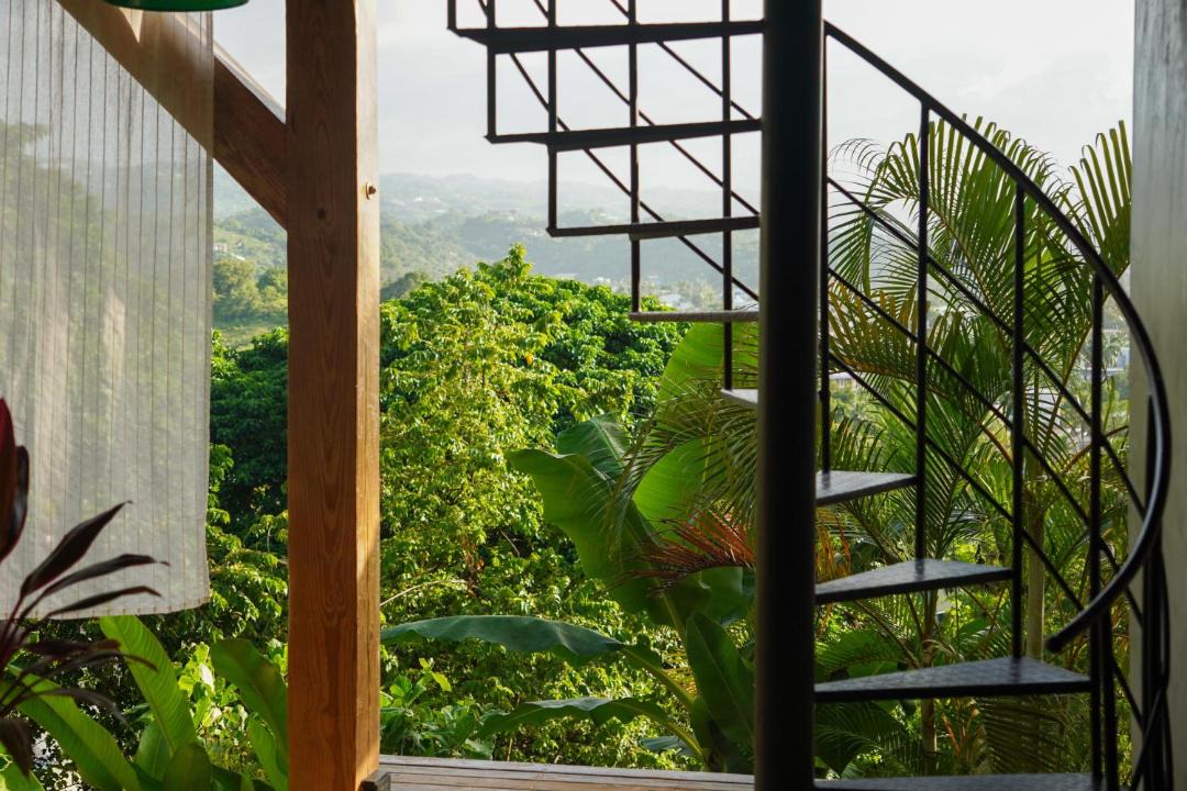 Photo of Others in Las Terrenas