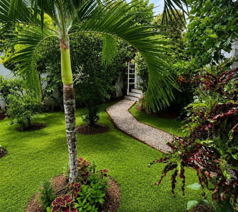 Photo of Others in Las Terrenas