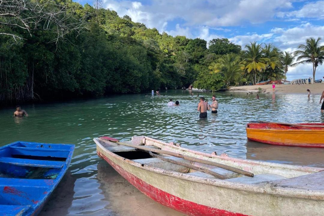Photo of Others in Sanchez