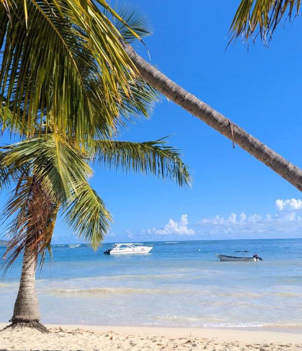 Photo of Others in Las Galeras