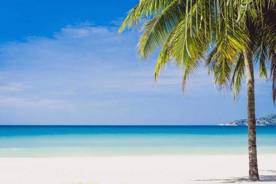 Photo of Others in Bavaro