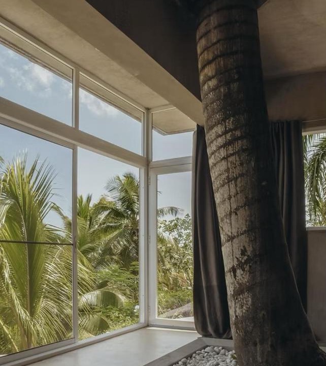 Photo of Others in Las Terrenas