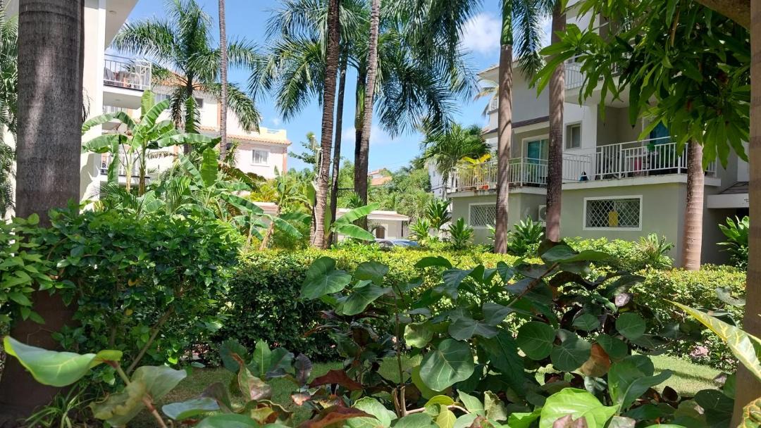 Photo of Others in Bavaro