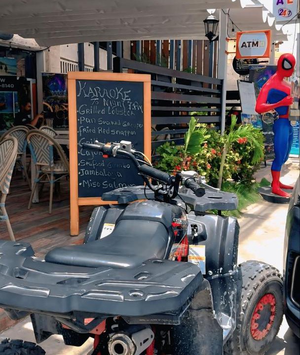 Photo of Others in Bavaro
