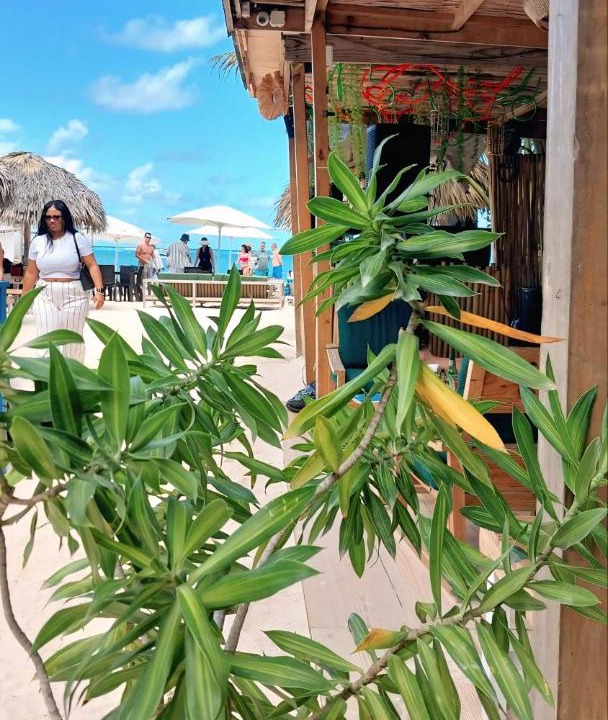 Photo of Others in Bavaro